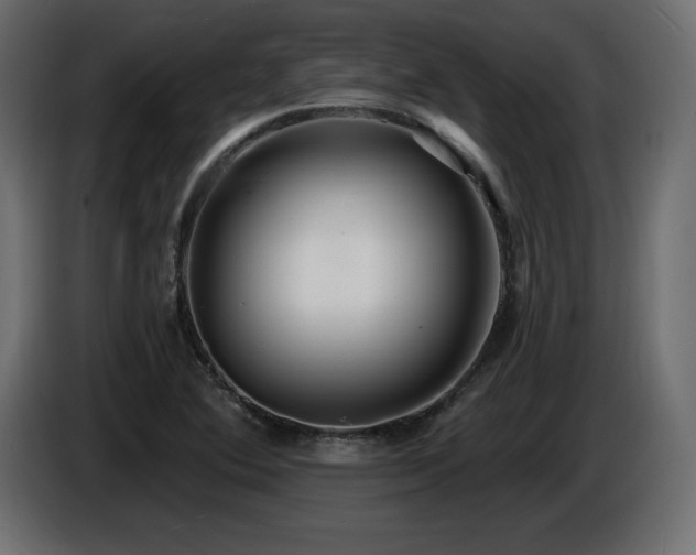 X0000086731364200704131057