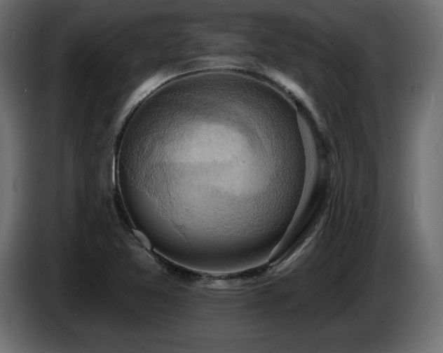 X0000086731365200704131057