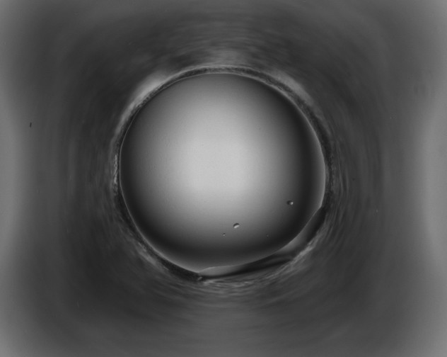 X0000086731366200704131057
