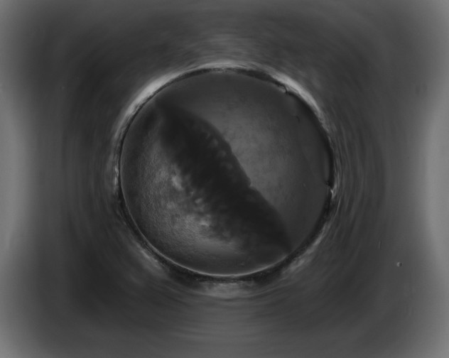 X0000086731367200704131057
