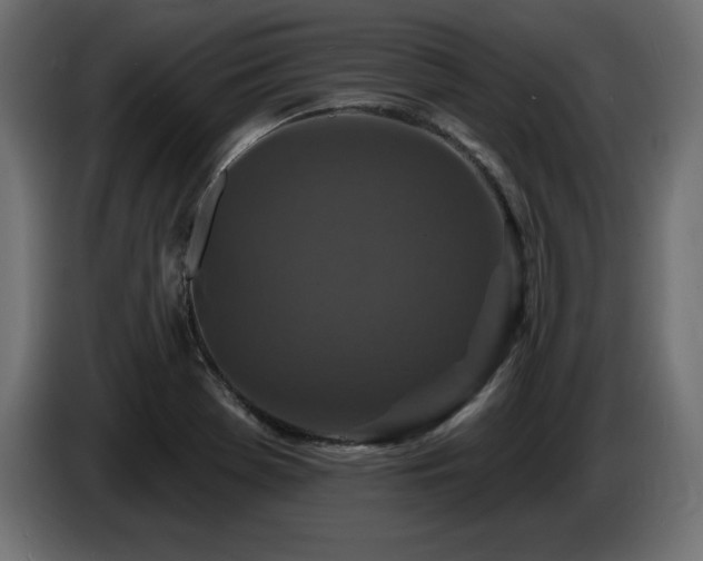 X0000086731369200704131057