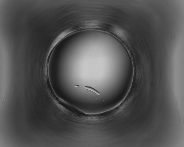 X0000086731370200704131057