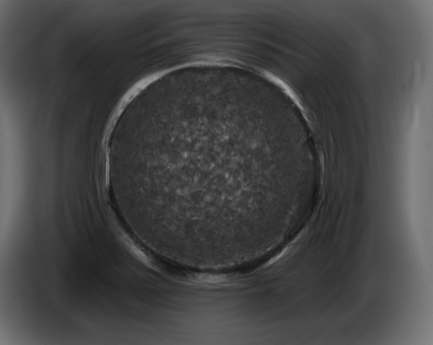X0000086731371200704131057