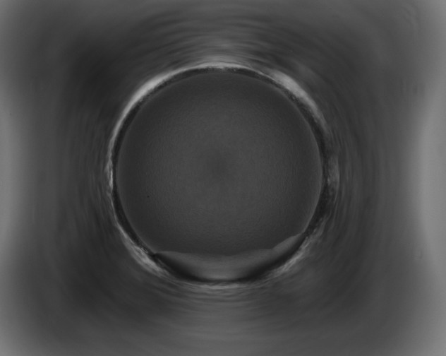 X0000086731372200704131057