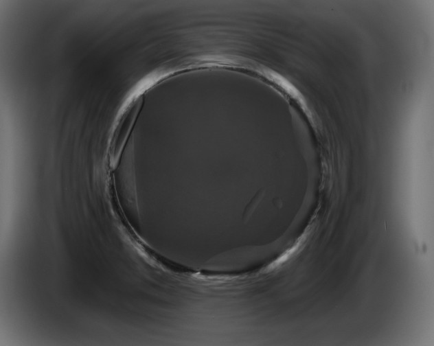 X0000086731373200704131057