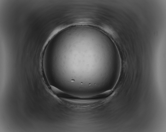 X0000086731374200704131057
