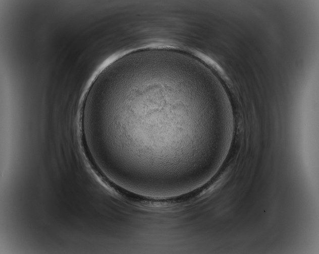 X0000086731375200704131057