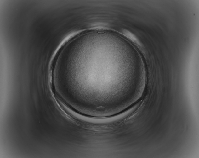 X0000086731376200704131057