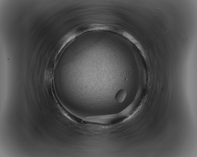 X0000086731377200704131057