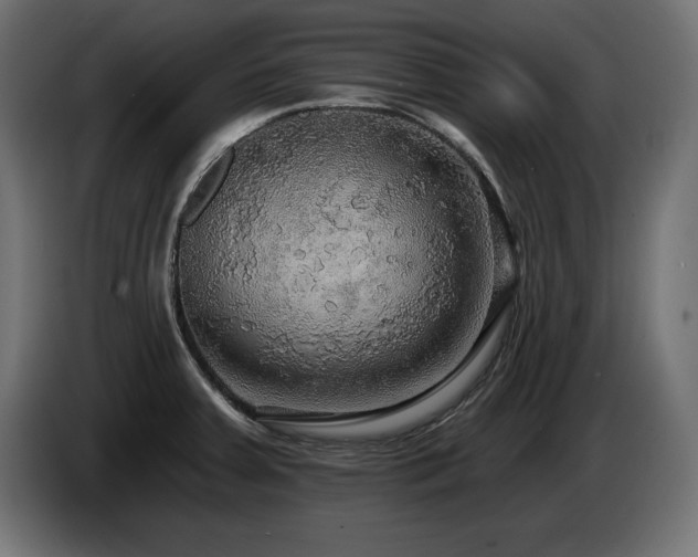 X0000086731379200704131057
