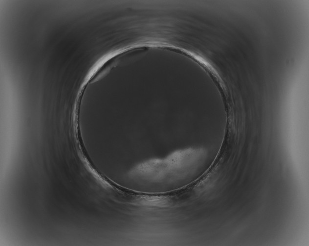 X0000086731382200704131057