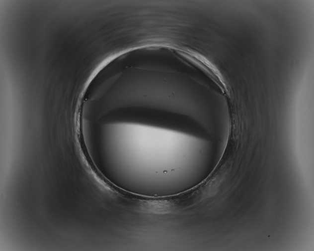 X0000086731383200704131057