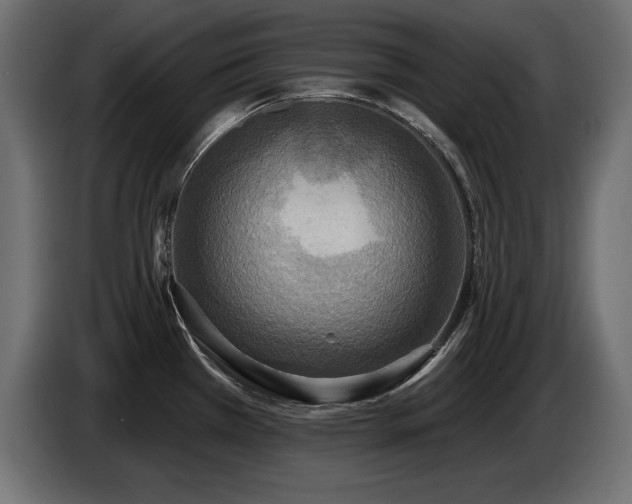 X0000086731385200704131057