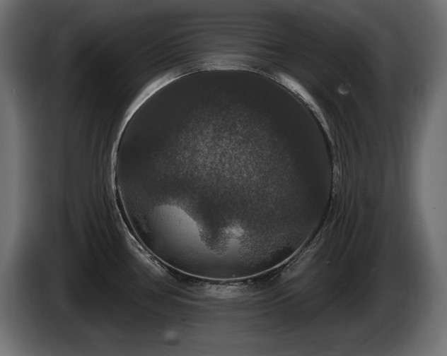 X0000086731386200704131057