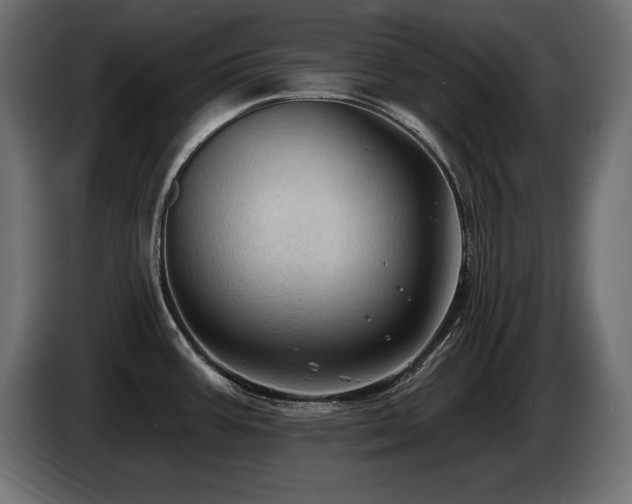 X0000086731387200704131057