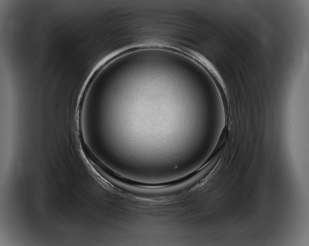 X0000086731388200704131057