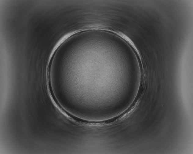 X0000086731389200704131057