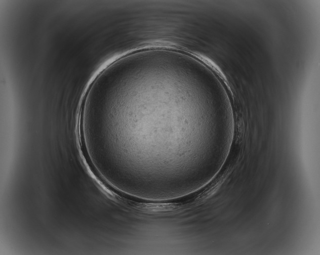 X0000086731391200704131057