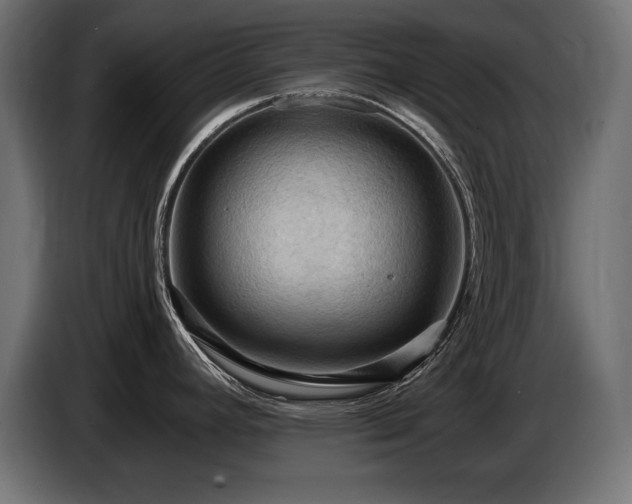 X0000086731392200704131057