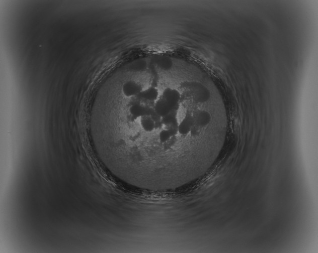 X0000086731393200704131056