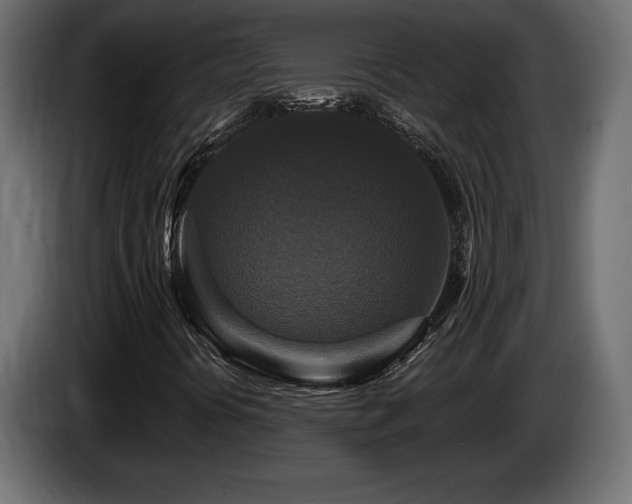 X0000086731394200704131056