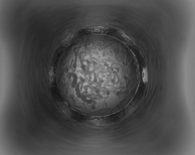 X0000086731395200704131056