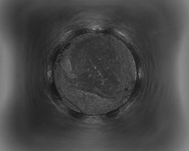 X0000086731396200704131056