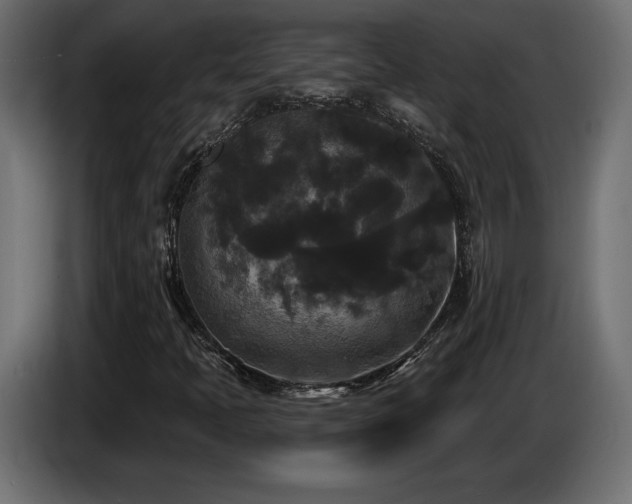 X0000086731397200704131056