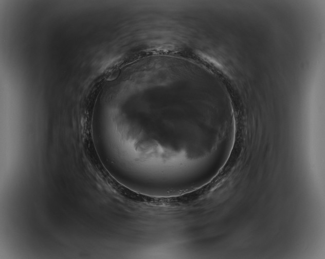 X0000086731399200704131056