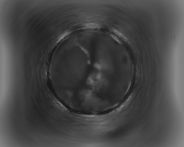 X0000086731401200704131056
