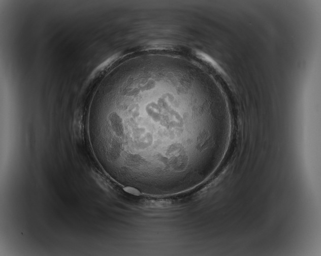 X0000086731403200704131056