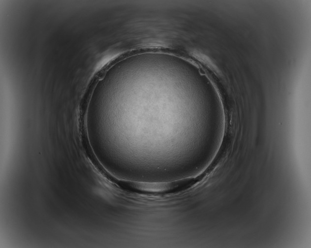 X0000086731404200704131056