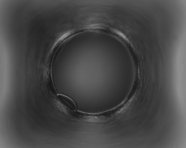 X0000086731405200704131056