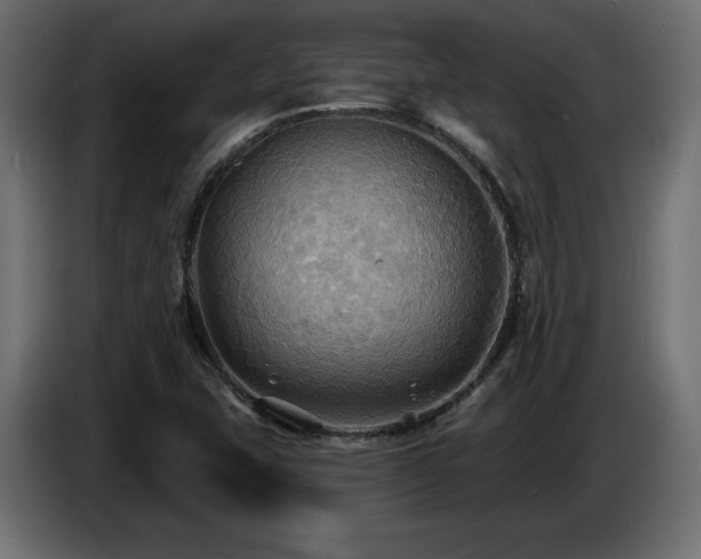 X0000086731407200704131056