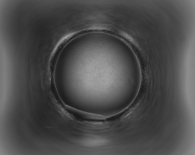 X0000086731408200704131056