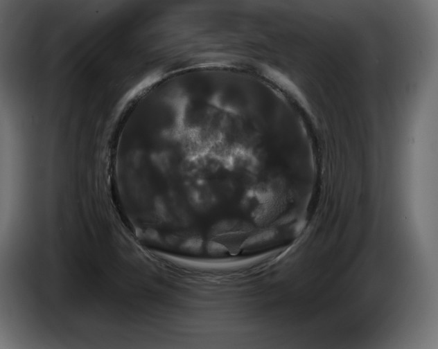 X0000086731411200704131056