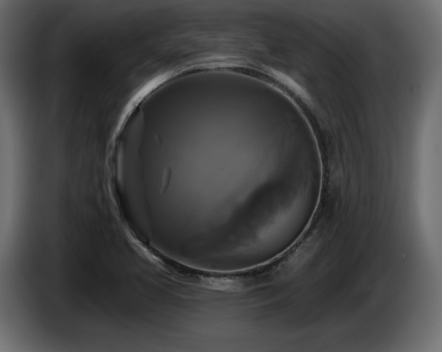 X0000086731413200704131056