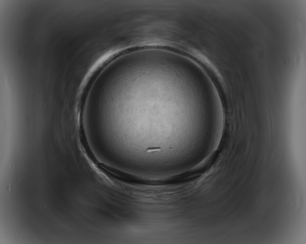 X0000086731416200704131056