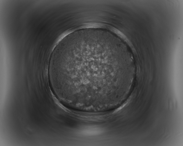 X0000086731417200704131056