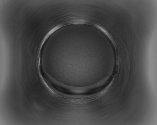 X0000086731418200704131056