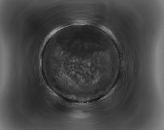 X0000086731419200704131056