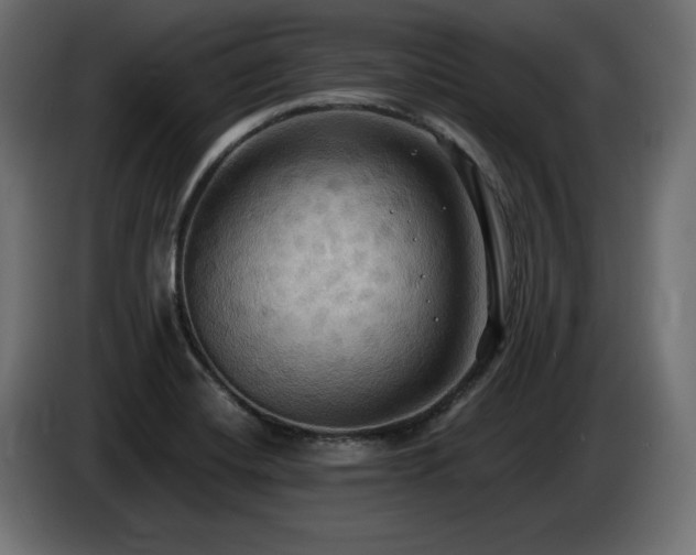 X0000086731420200704131056