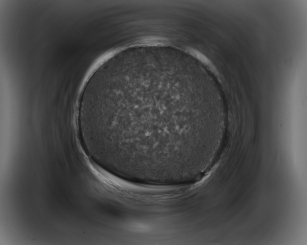 X0000086731421200704131056