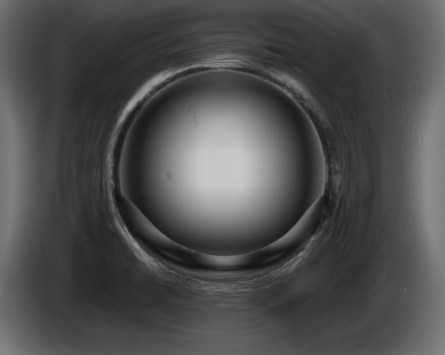 X0000086731422200704131056