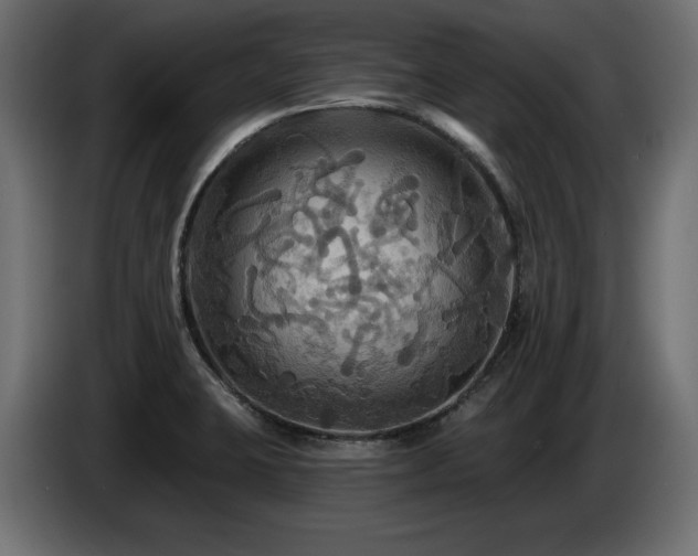 X0000086731423200704131056