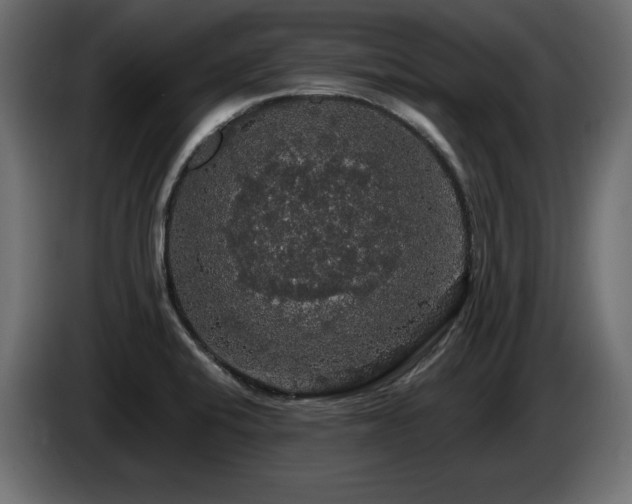 X0000086731424200704131056