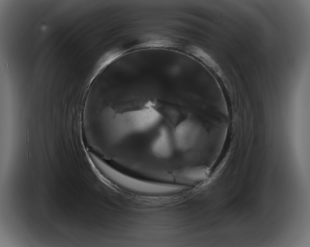 X0000086731425200704131056