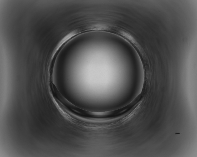 X0000086731426200704131056