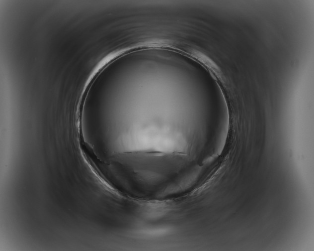 X0000086731428200704131056