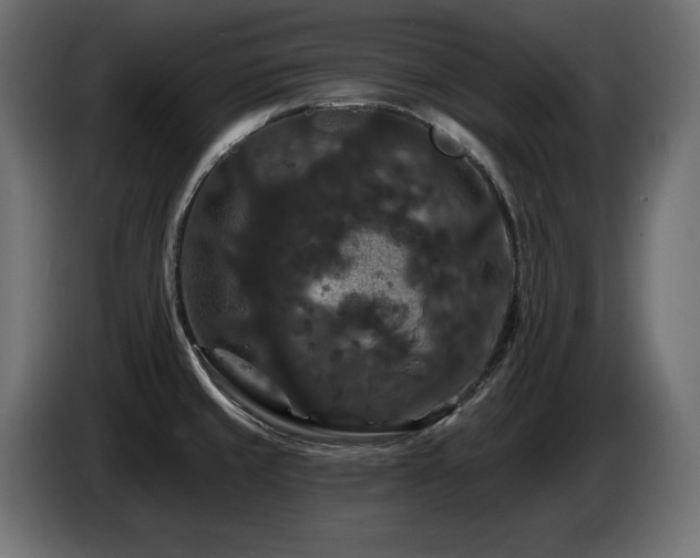 X0000086731429200704131056